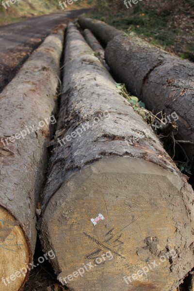 Tree Log Bark Nature Tribe