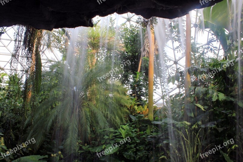 Botanical Garden Arboretum Plants Waterfall Nature