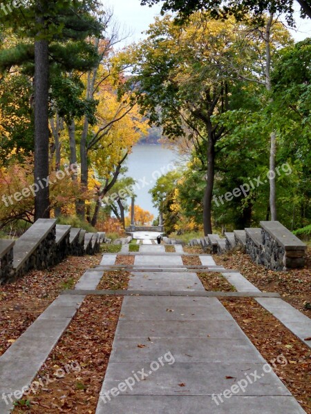 Landscape Downhill Path Park Trees