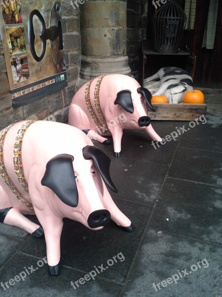 Pig Statue Halloween Free Photos