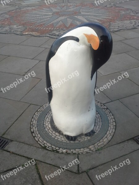 Penguin Dundee Cold Free Photos