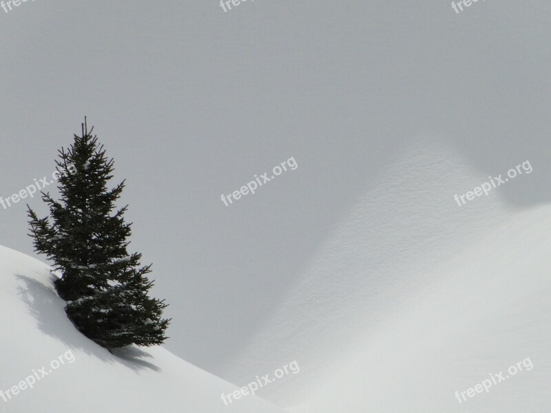 Snow Landscape Wintry Unaffected Nature Winter Mood