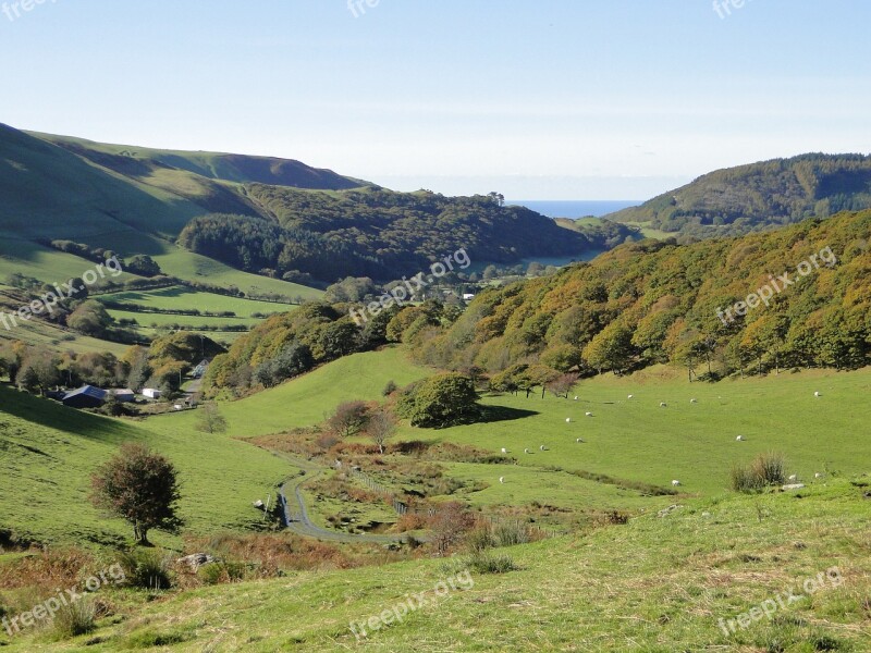 Sheep Pasture Landscape Hiking Mountains Loneliness