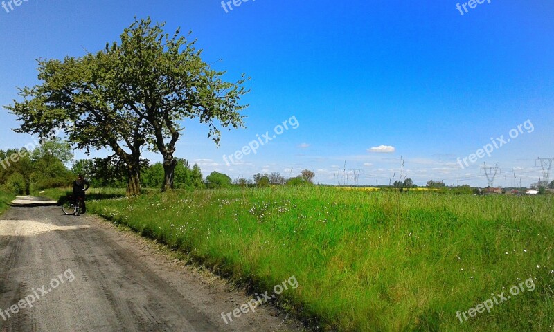 Way Field Myślibórz The Cultivation Of Agriculture