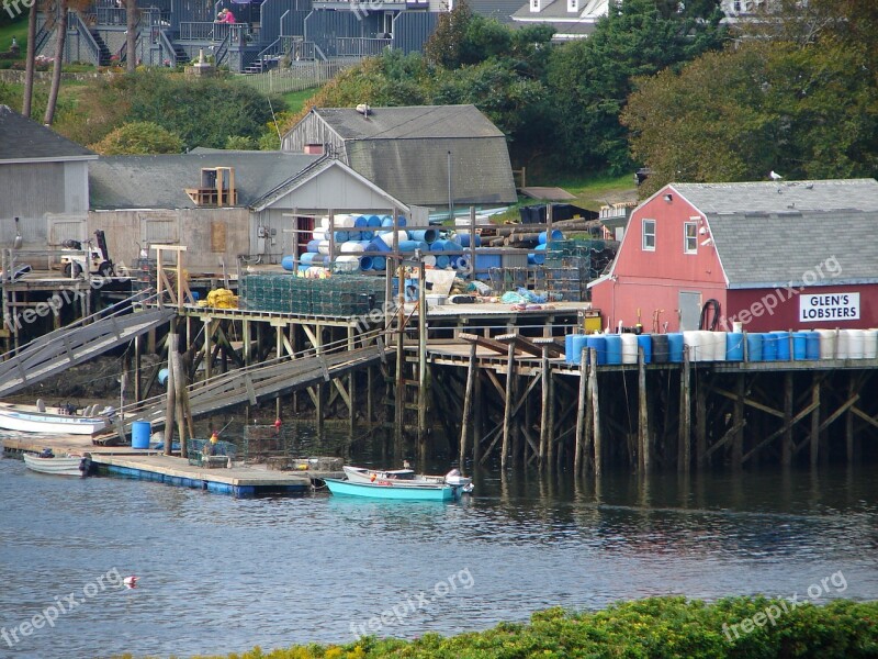 Glen's Lobsters Maine Lobsters Waterfront Free Photos