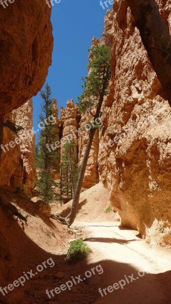 America Bryce National Park Rock Formation Free Photos