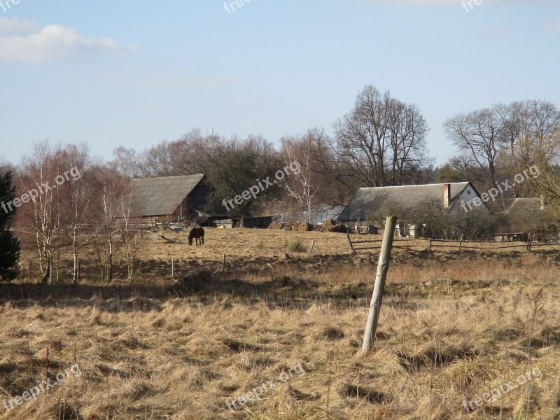 Village Winter Landscape The Horse Tree