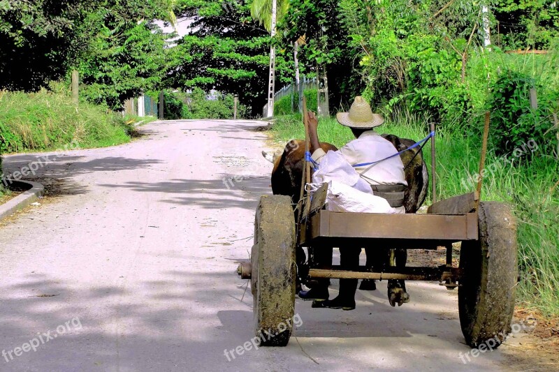 Cart Farmer Nature Free Photos