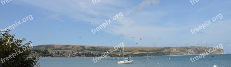 England Boat Sea Gulls Devon Water