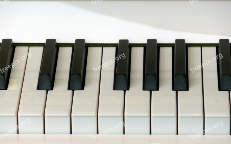 Piano Piano Keyboard Music Play Instrument