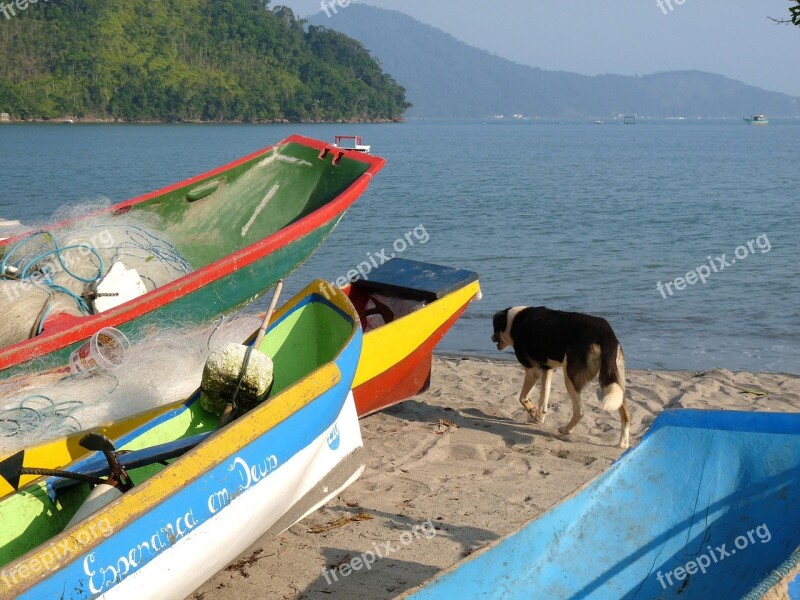 Canoes Beach Dry Bar Ubatuba São Paulo