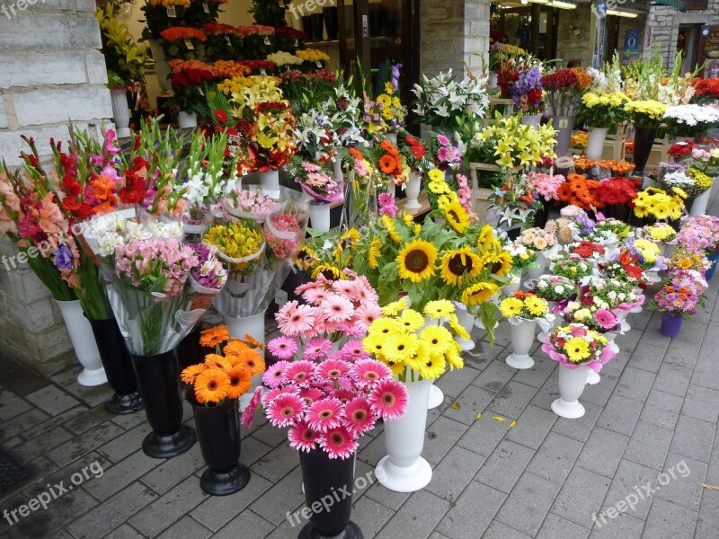 Flowers Flower Shop Bouquet Colorful Summer Flowers