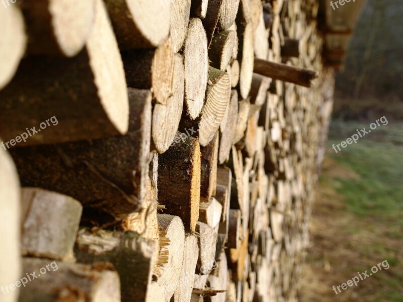 Wood Firewood Growing Stock Holzstapel Heat