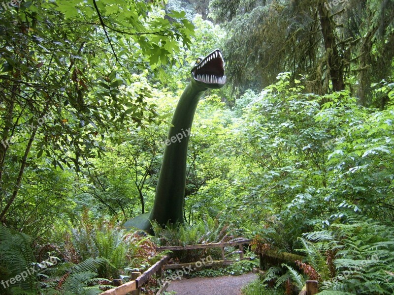 Prehistoric Gardens Dinosaur Port Orford Oregon Rainforest