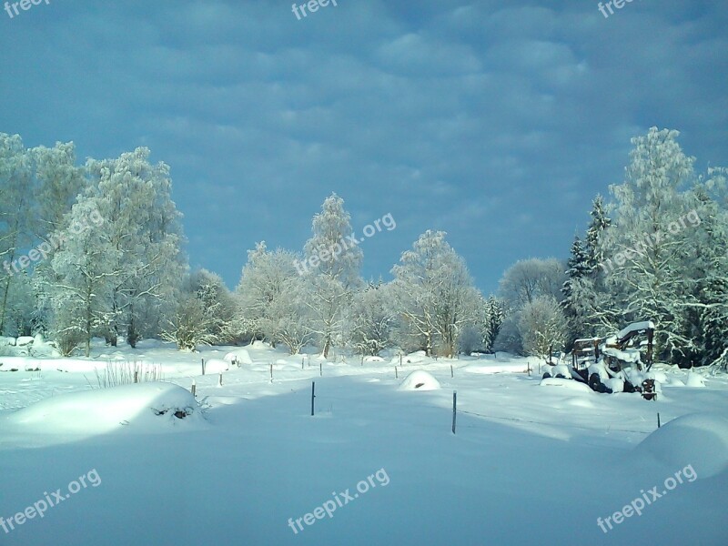 Winter Forest Snow Snow Landscape Free Photos