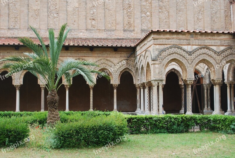 Palm Tree Arches Palm Architecture Outdoors