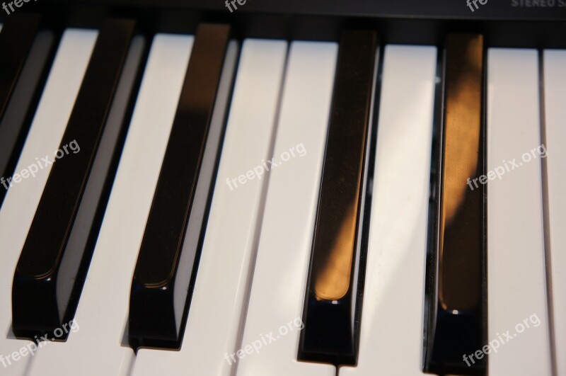 Keys Keyboard Piano Free Photos