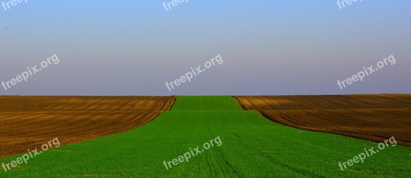 Green Sowing Road Free Photos