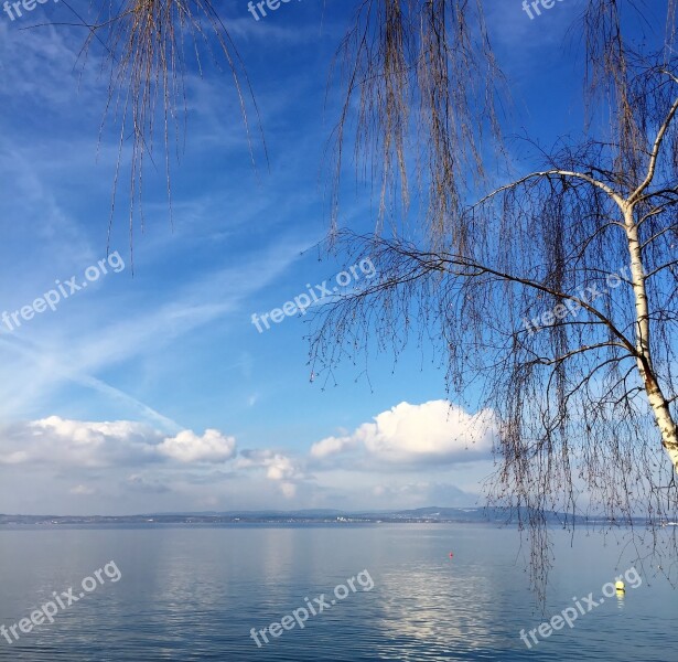 Landscape Birch February Sky Lake