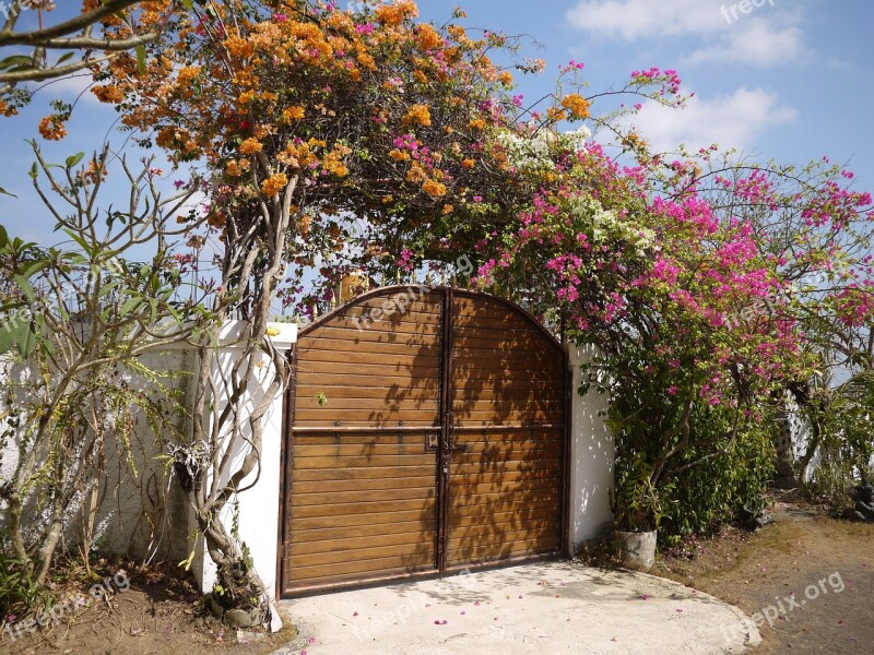 Gate Bougainvillea Home Free Photos