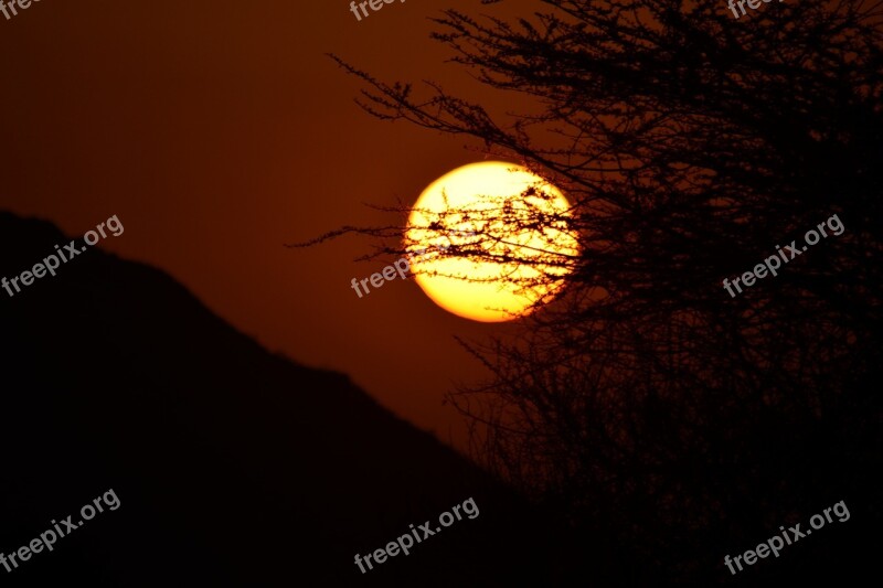 Sunset East Sun Acacia Africa