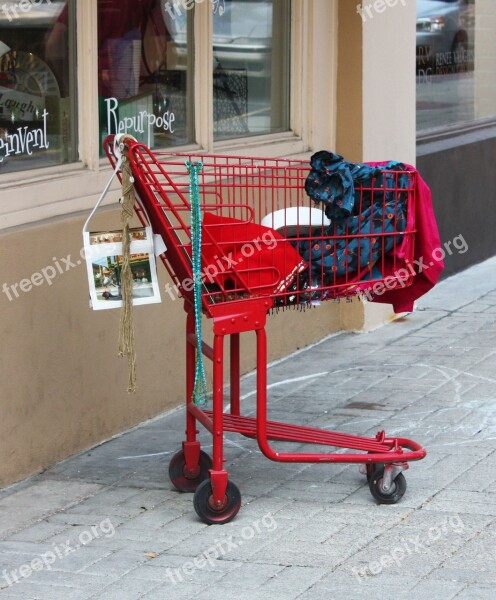 Shopping Cart Red Shop Buy