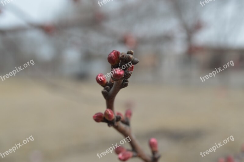 Views Landscape Spring Free Photos