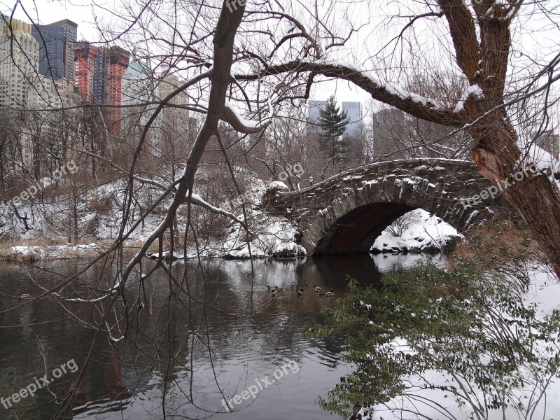 Central Park Manhattan New York Free Photos