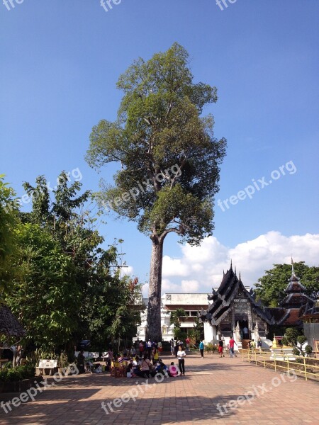 Temple Chiang Mai Buddist Architecture Stupa