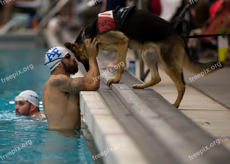 Dog Service Canine Race Competition