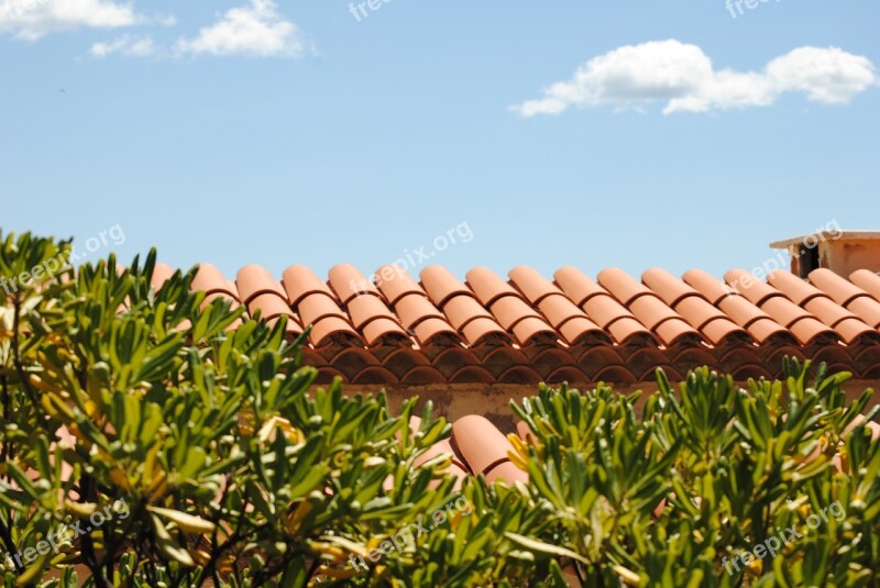 Roof Terracotta Architecture Blue Brown