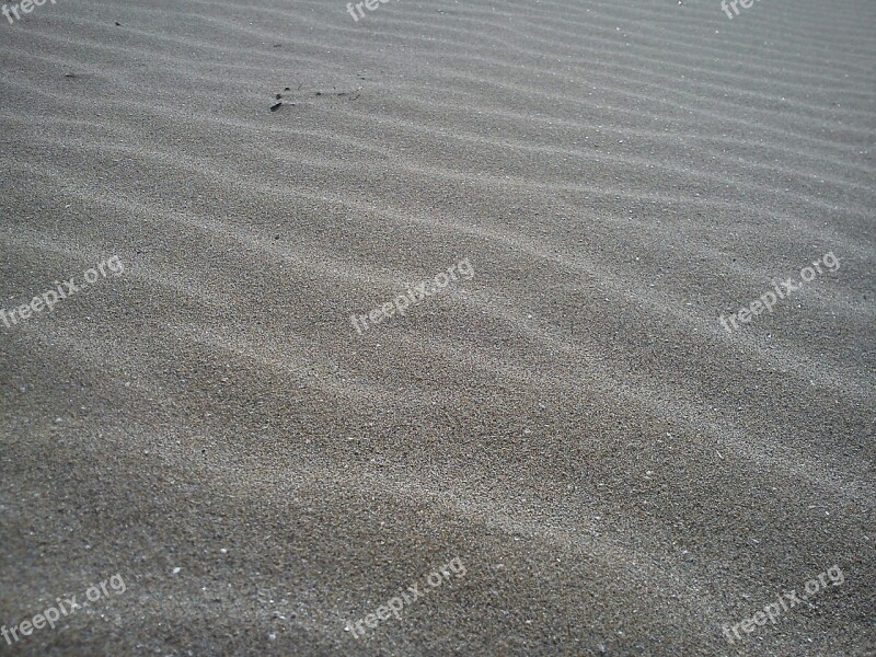 Sand Dunes Gone With The Wind Dry Beach