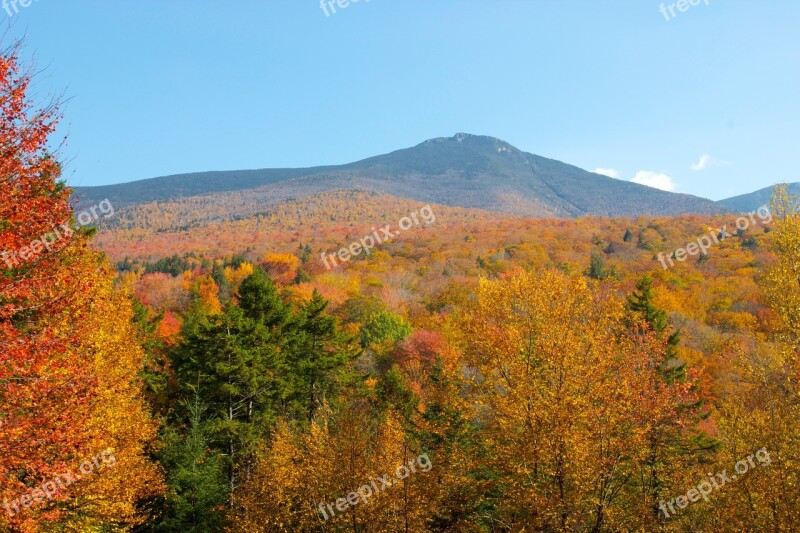 Season Autumn Colorful Red Green