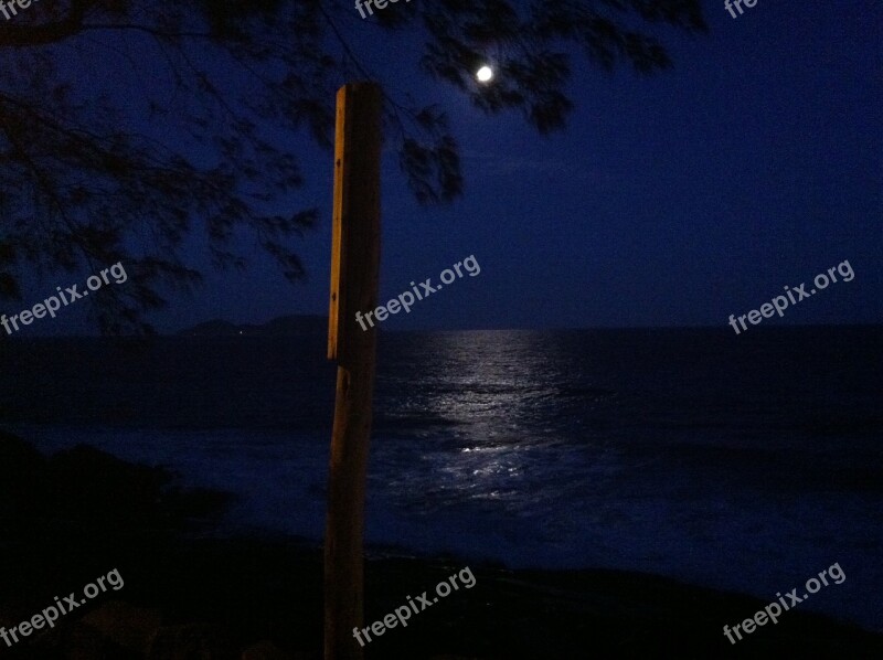 Moonlight Ocean Night Sea Nature