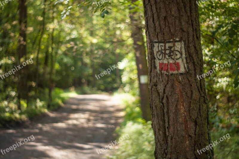 Bike Trail Tourism Hiking Trails Summer