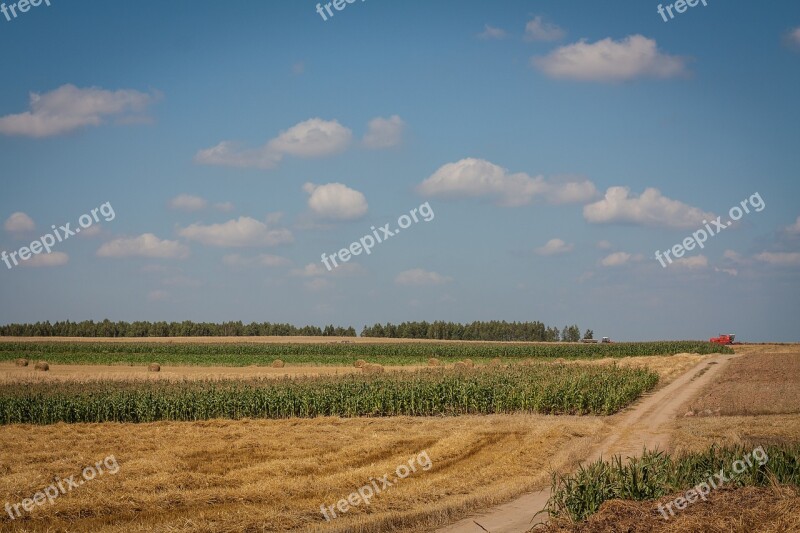 Field Haymaking Sunny Landscape Summer