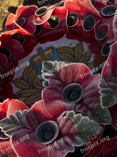 Wreath Poppy War Remembrance Frost