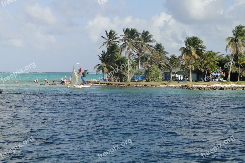 Beach Palm Tree Sanandres Free Photos