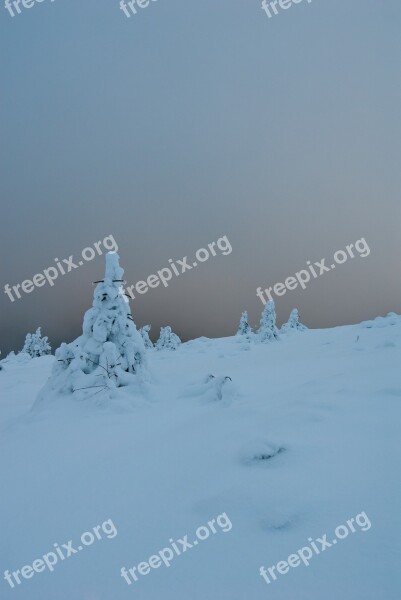 Winter Mountain Snow Cold White