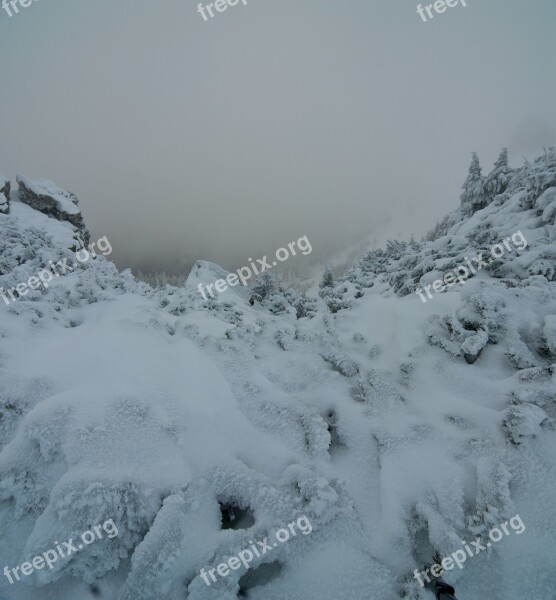 Winter Mountain Snow Cold White