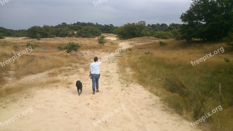 Hiking Nature Landscape Walking Path Walk