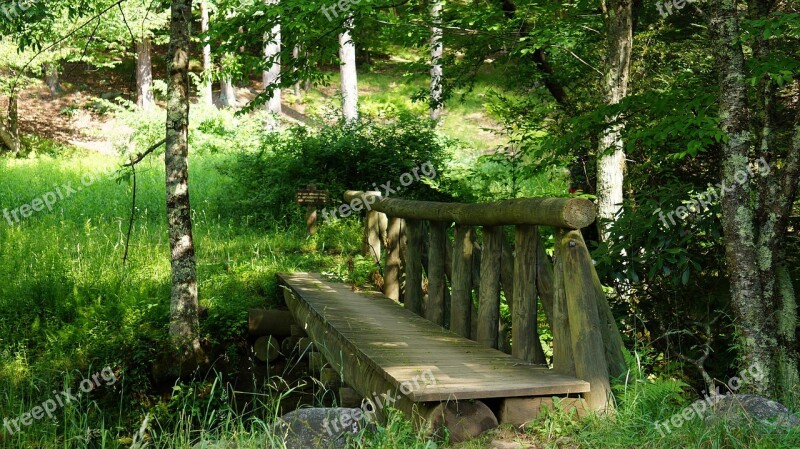 Bridge Dolly Sods Wilderness Virginia