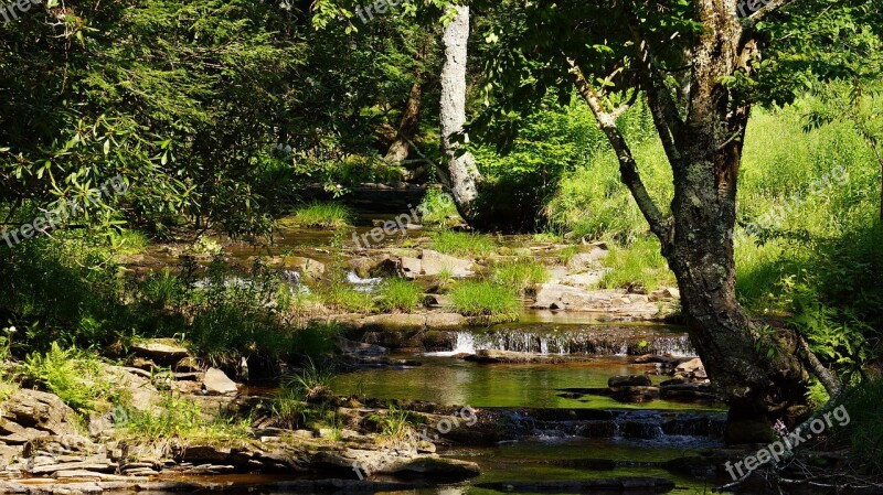 Dolly Sods Wilderness West Virginia