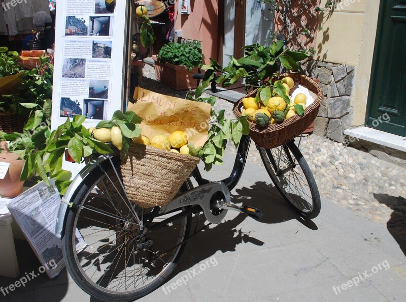 Bike Bicycle Fun Summer Lifestyle