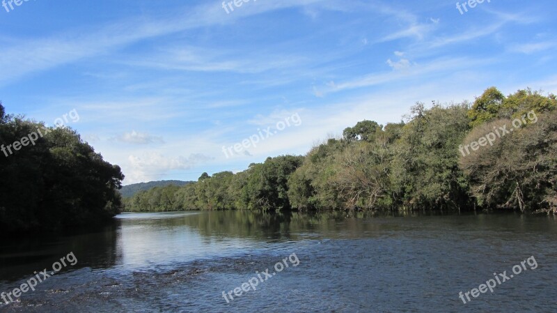 Urubici River Trees Free Photos