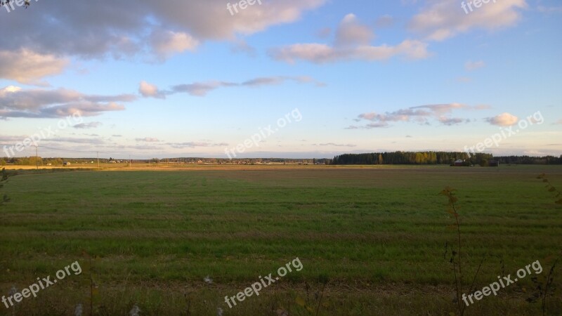 Field Sky Summer Nature Landscape