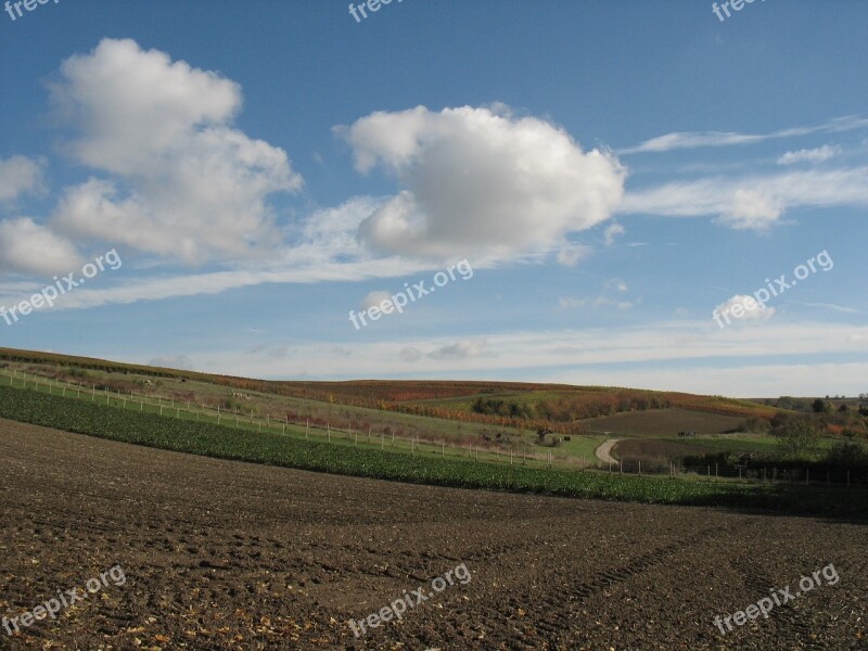 Landscape Vines Vineyard Vine Nature