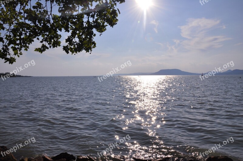 Lake Balaton Summer Sunlight Free Photos