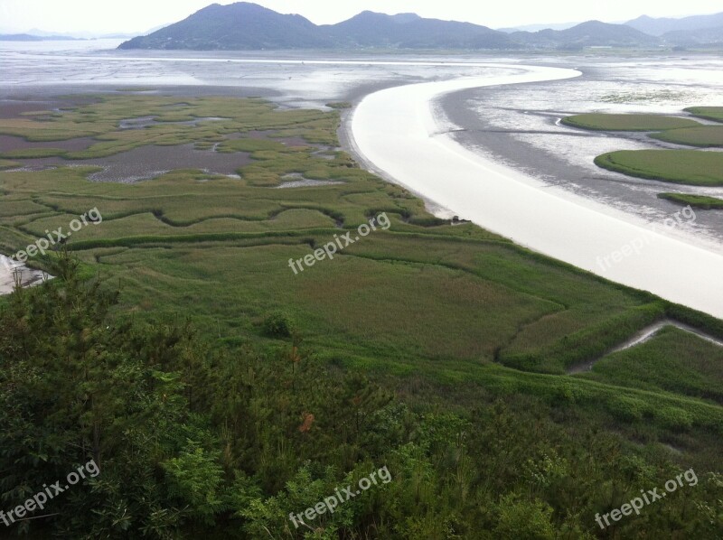 Suncheon Bay Seaway Tidal Free Photos