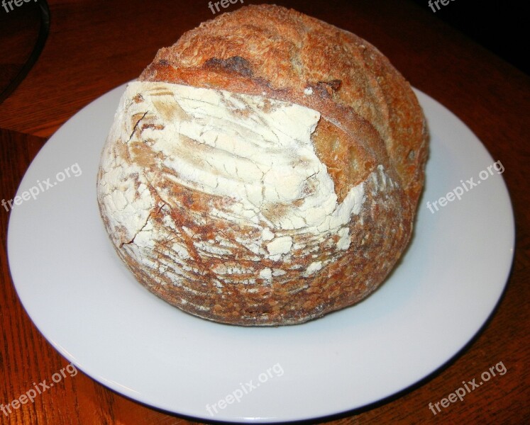 Sour Dough Bread Rustic Baked Multi Grain Free Photos